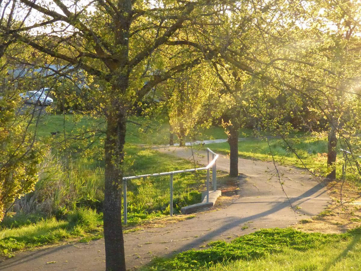 A Suite Spot In The Hills 마운트 바커 외부 사진